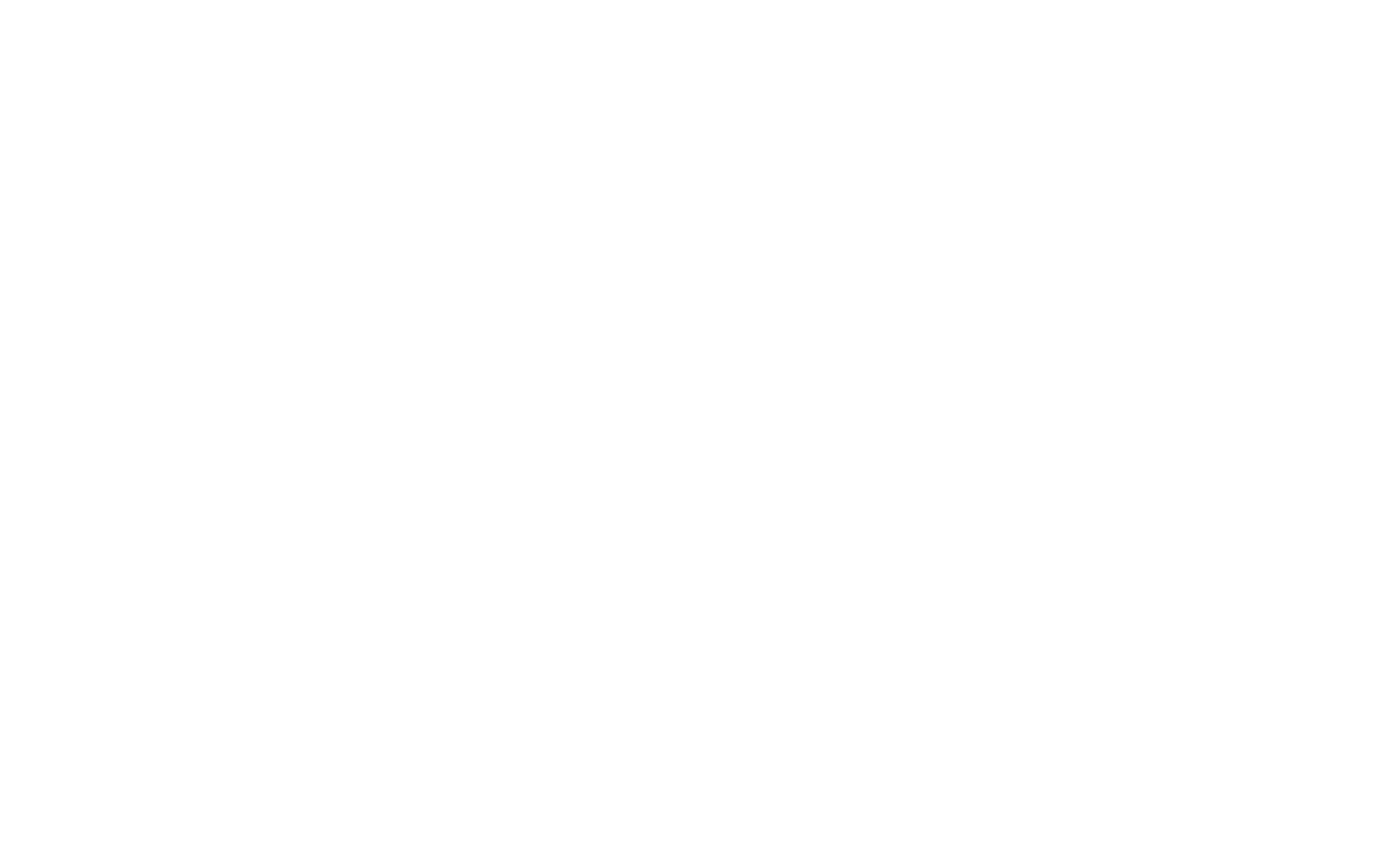 Wordmark (white)